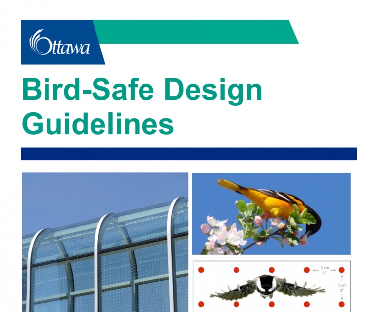 BirdSafe Design and Standards BirdSafe